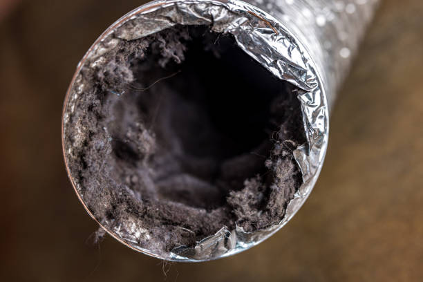 Professional Airduct Cleaning in Lexington, MI